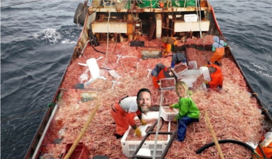 Donna Deegan and Aaron Bean spend evening catching shrimp to send to Buffalo